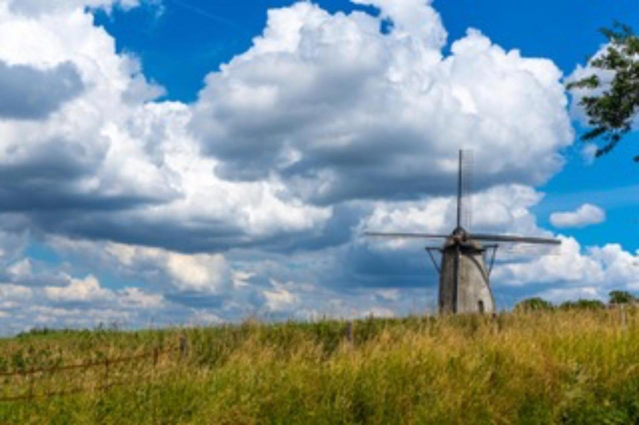 Vlaamse Ardennen Vakantiehuis Casa Caliente Met Wellness Avelgem Екстер'єр фото