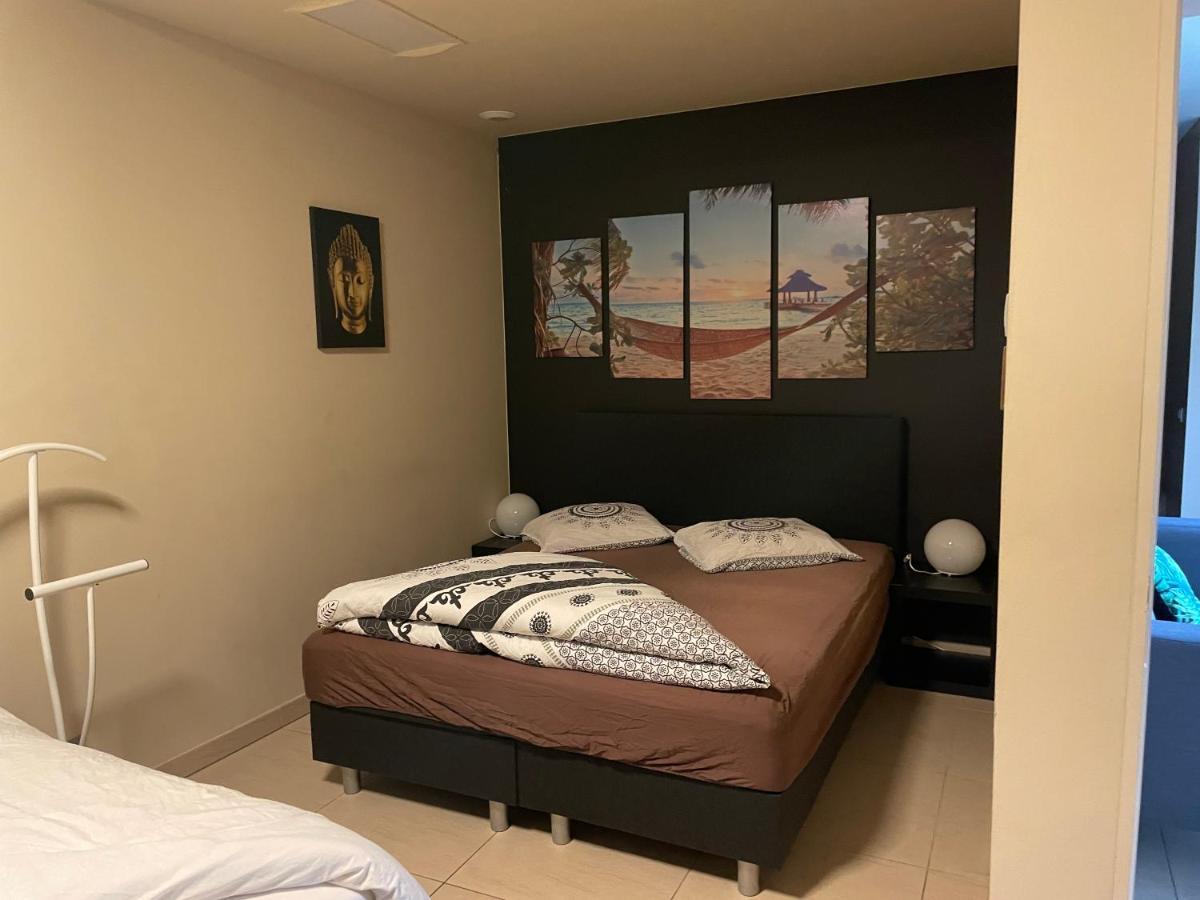 Vlaamse Ardennen Vakantiehuis Casa Caliente Met Wellness Avelgem Екстер'єр фото